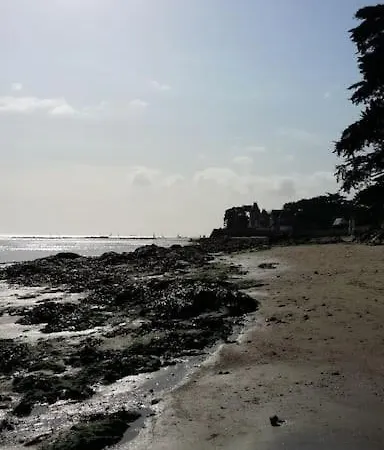 Cosy, Vue Sur Parc, 3 Mins Benoit