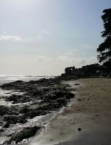 Cosy, Vue Sur Parc, 3 Mins Benoit